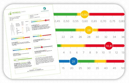 Bild-metabolic-check.png